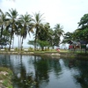 Samples of flora in Ghana