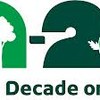 UN Decade logo