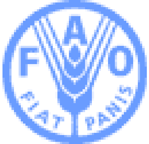 Food Agriculture Organisation - FAO