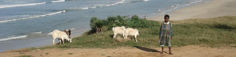 plage1